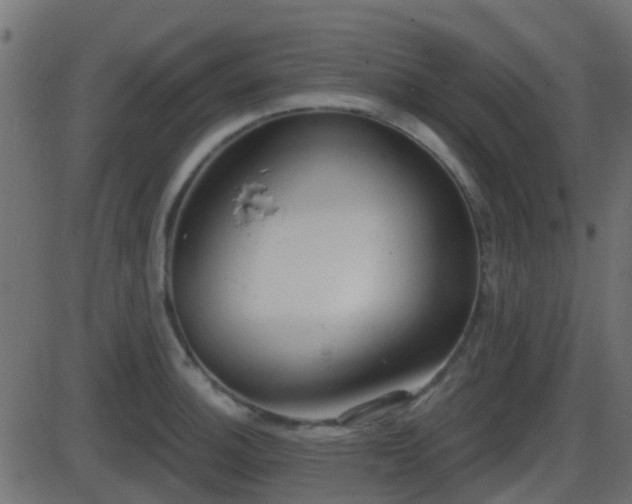 X0000086271140200704051303