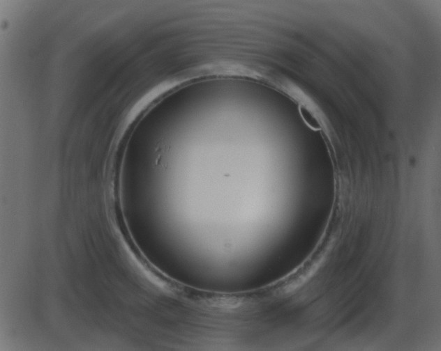 X0000086271141200704051303