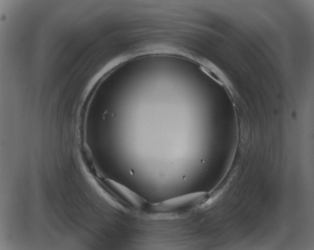 X0000086271142200704051303