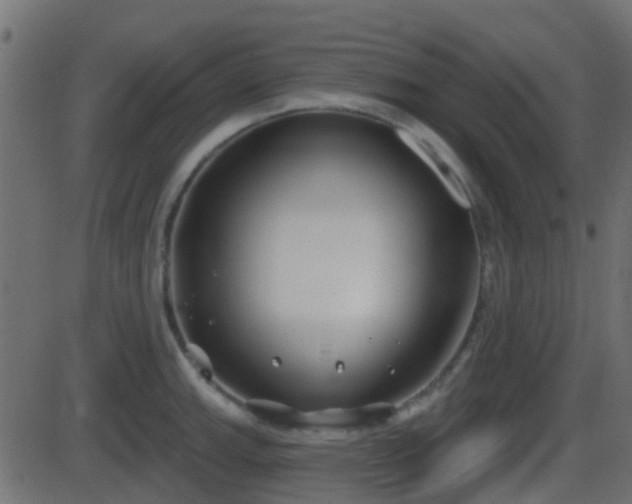 X0000086271143200704051303