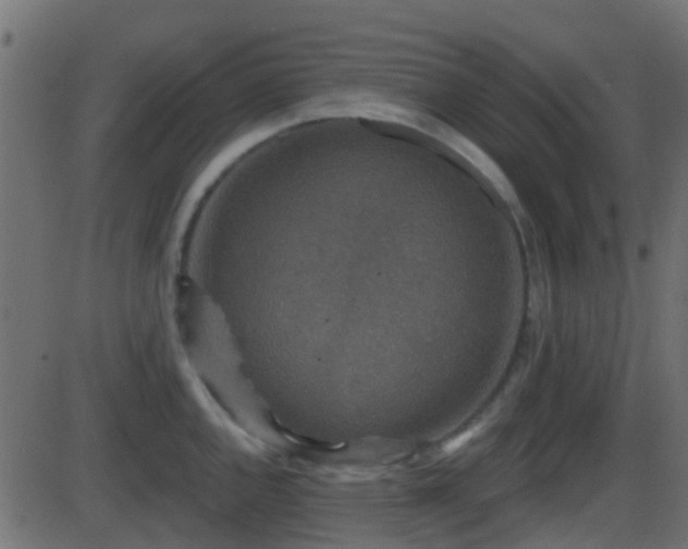 X0000086271144200704051303