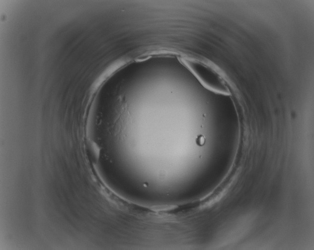 X0000086271145200704051303