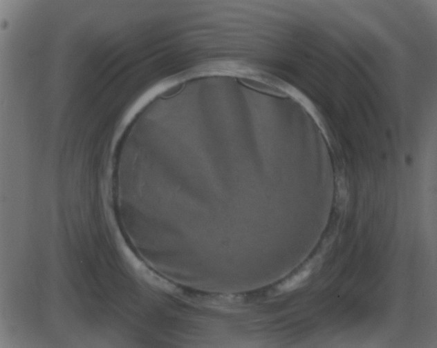 X0000086271147200704051303