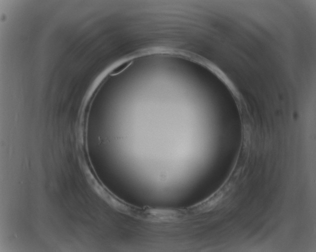 X0000086271148200704051303