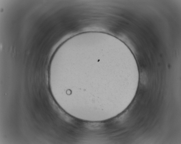 X0000086271150200704051303