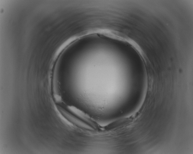 X0000086271151200704051303