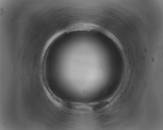 X0000086271152200704051303