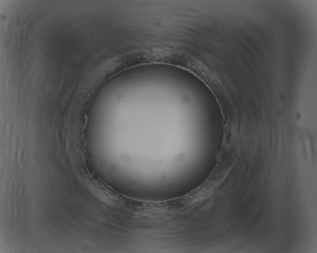 X0000086271153200704051302