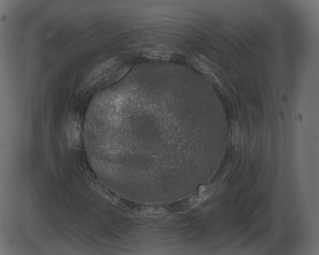 X0000086271154200704051302