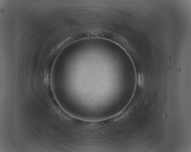 X0000086271155200704051302