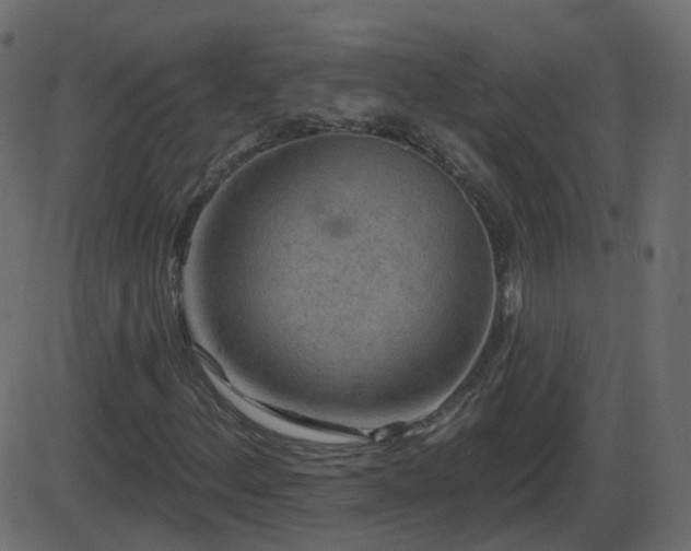 X0000086271156200704051302