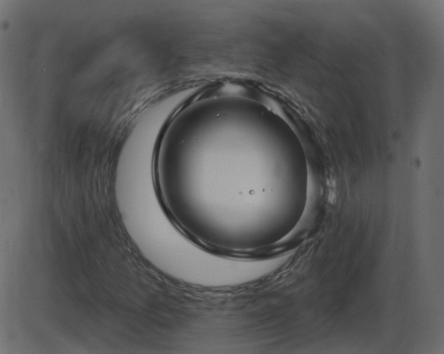 X0000086271157200704051302