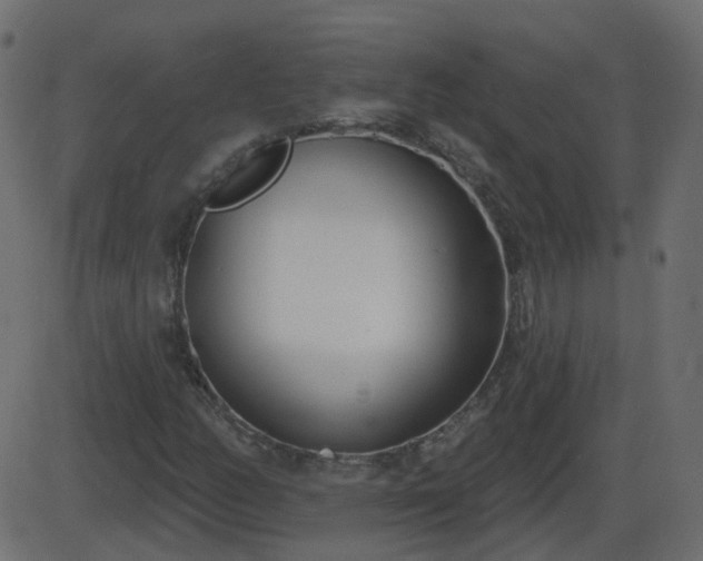 X0000086271158200704051302