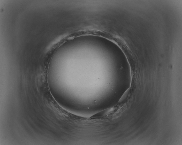 X0000086271159200704051302