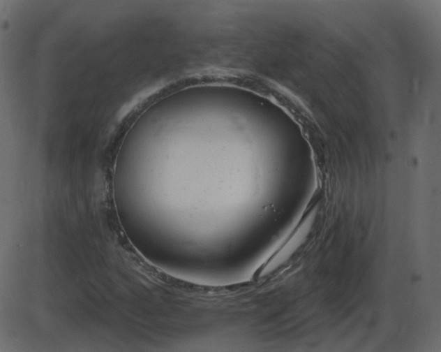 X0000086271160200704051302