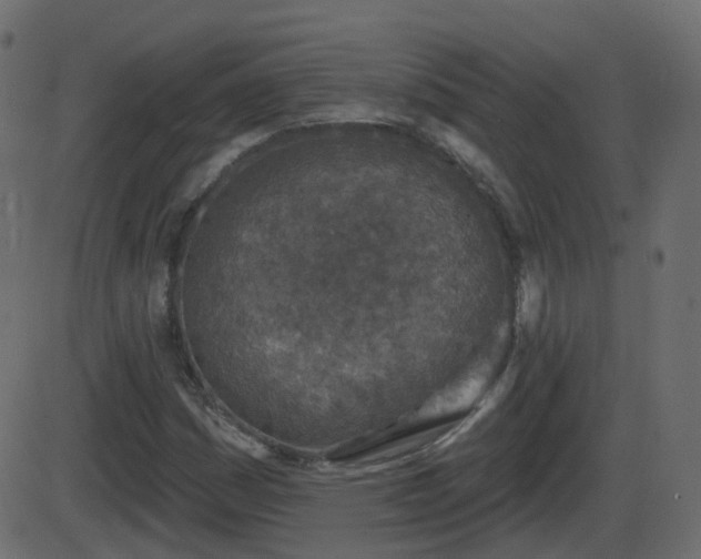 X0000086271161200704051302