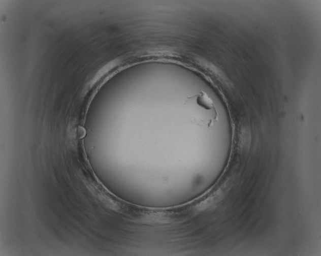 X0000086271162200704051302