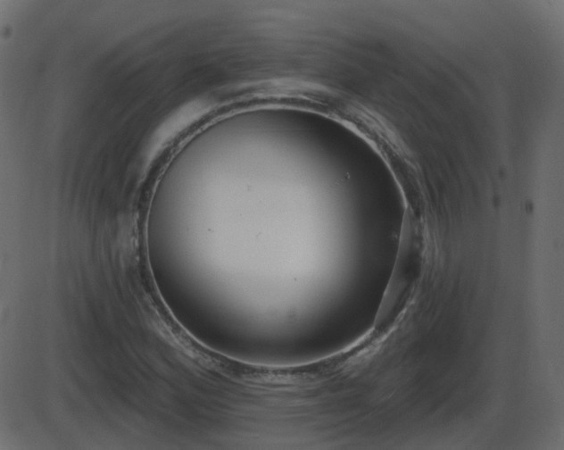 X0000086271164200704051302