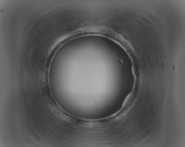 X0000086271166200704051302