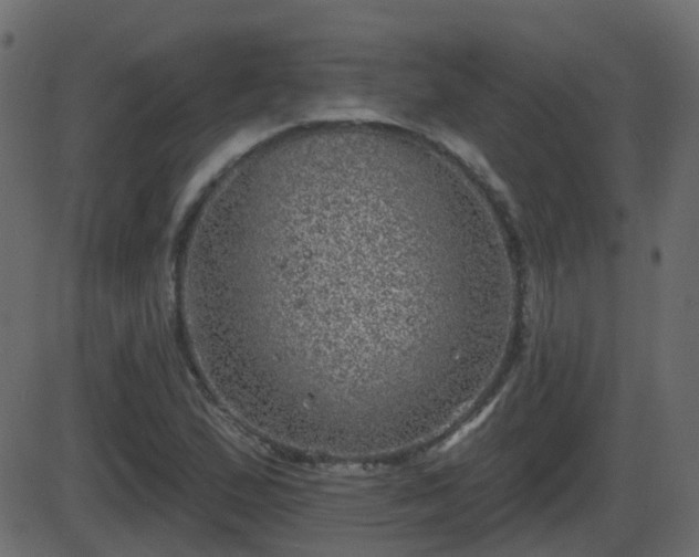 X0000086271167200704051302