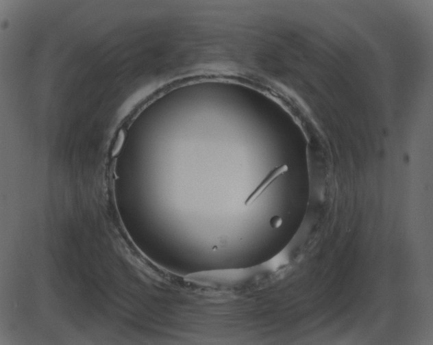 X0000086271168200704051302