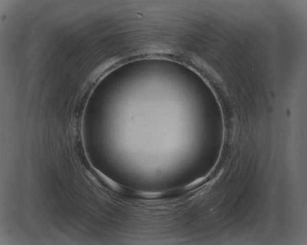 X0000086271169200704051302