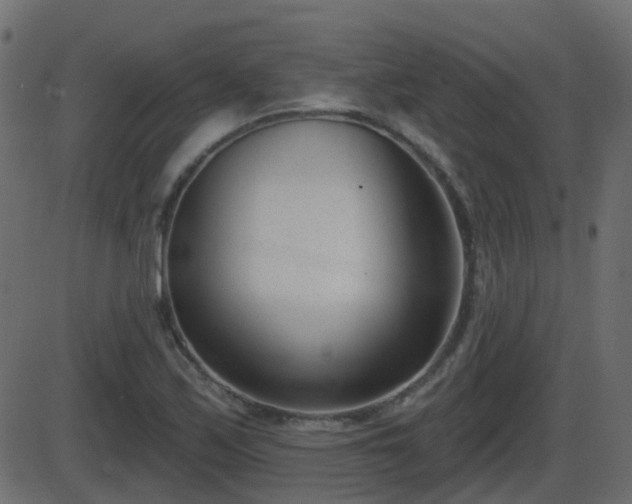 X0000086271171200704051302