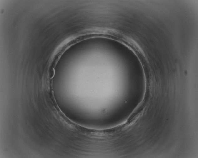 X0000086271172200704051302