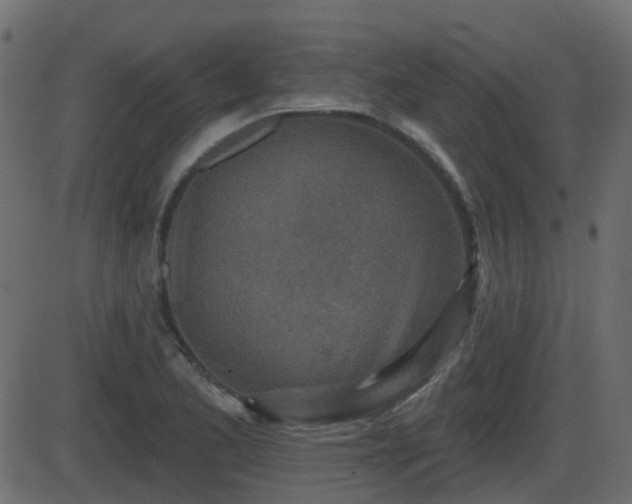 X0000086271173200704051302