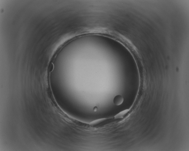 X0000086271174200704051302