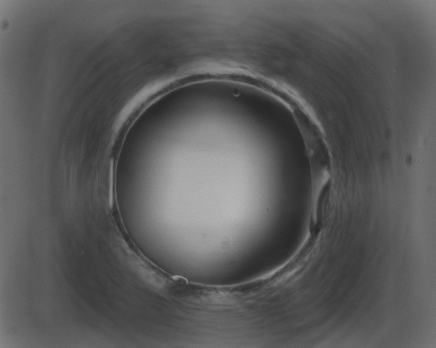 X0000086271175200704051302