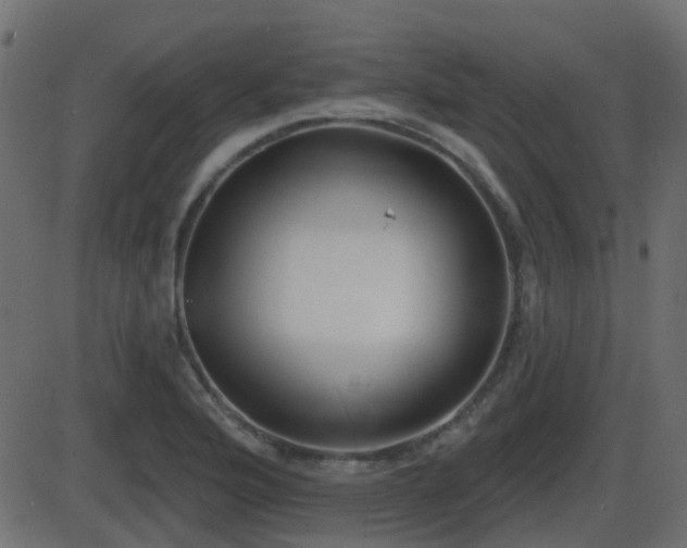 X0000086271176200704051302