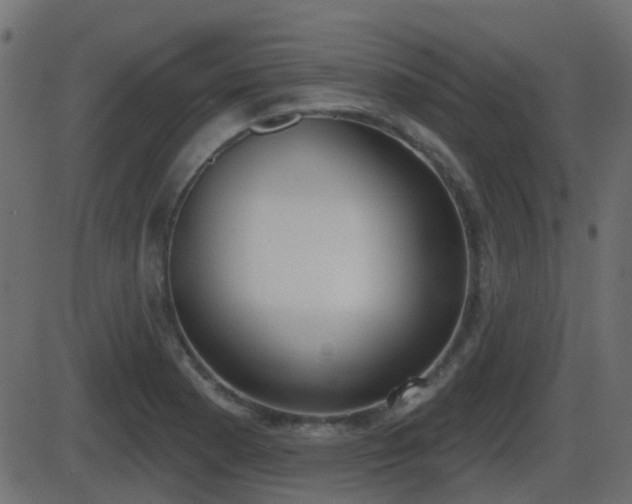 X0000086271177200704051302