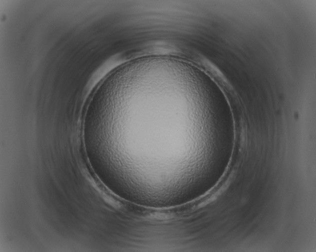 X0000086271178200704051301