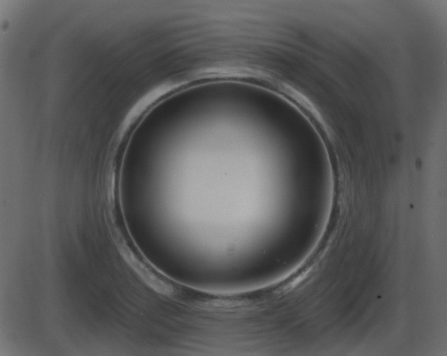 X0000086271179200704051301