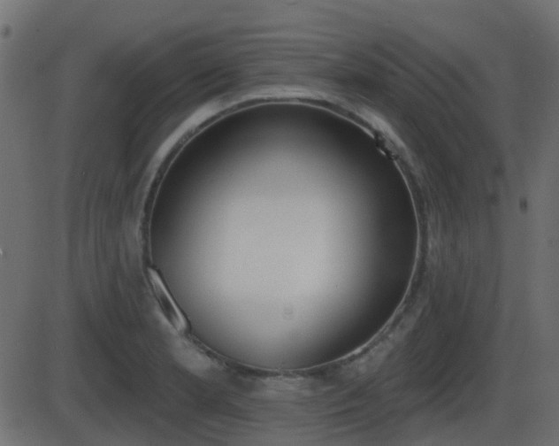 X0000086271181200704051301