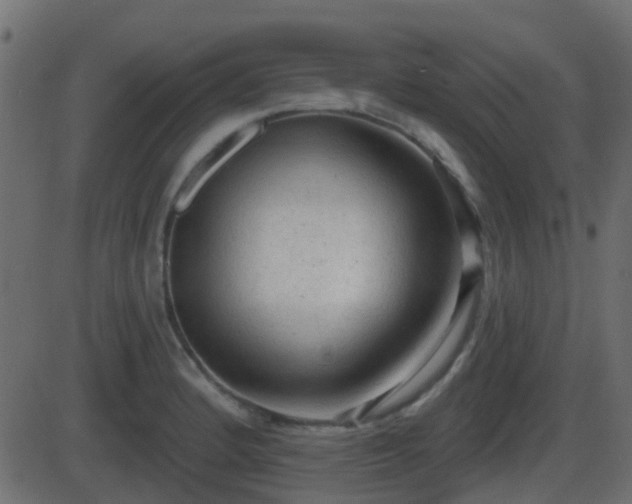 X0000086271184200704051301