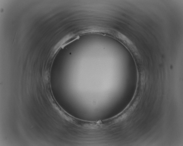 X0000086271185200704051301