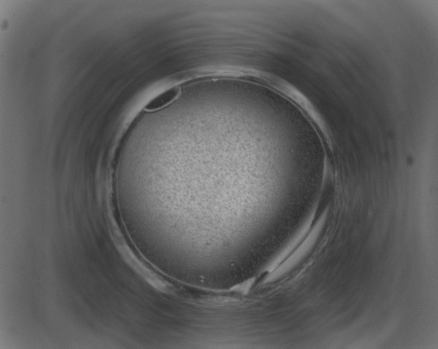 X0000086271187200704051301