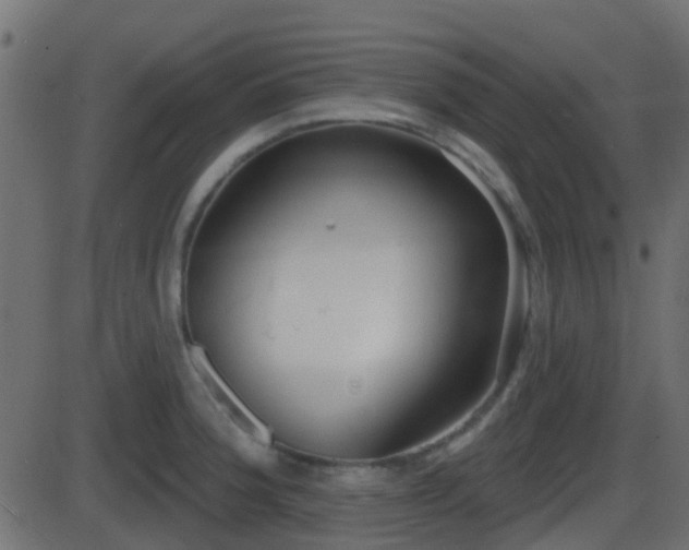 X0000086271188200704051301