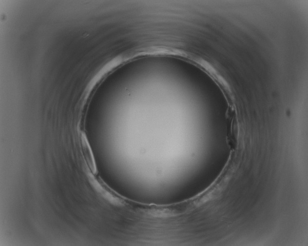 X0000086271189200704051301