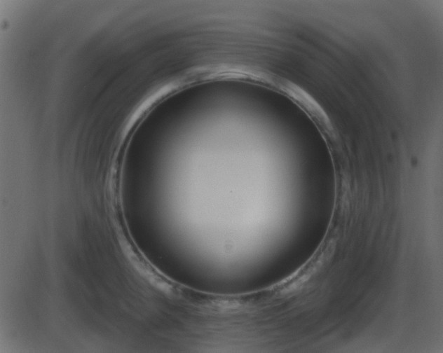 X0000086271190200704051301