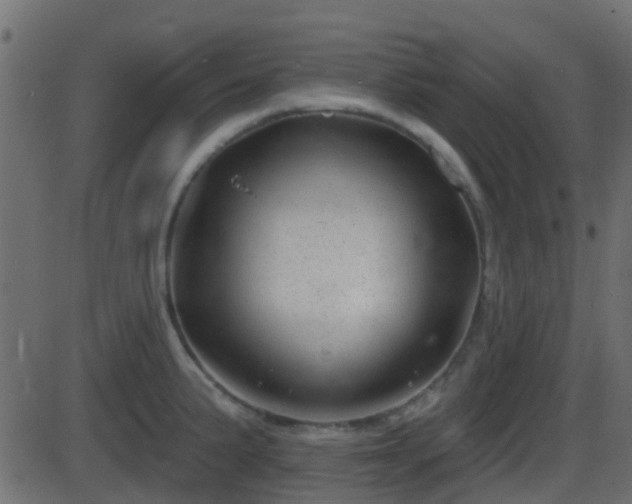 X0000086271191200704051301