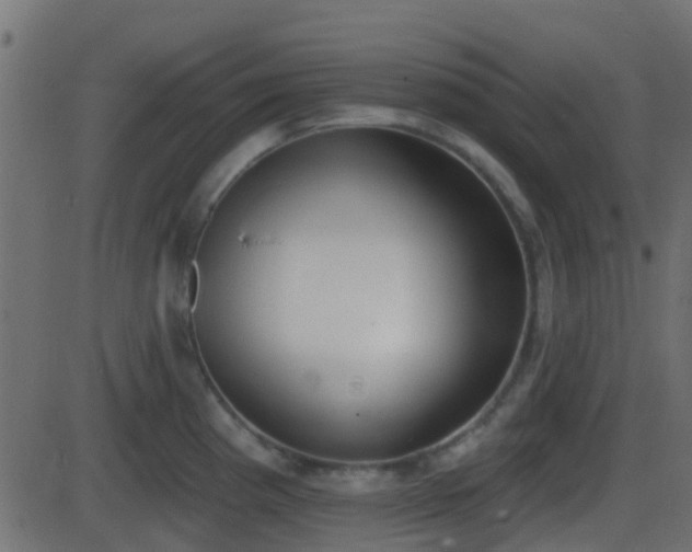 X0000086271193200704051301