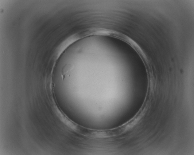 X0000086271194200704051301