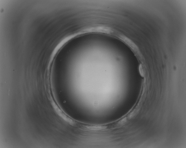 X0000086271200200704051301