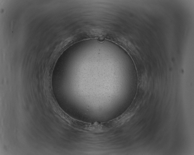 X0000086271201200704051300