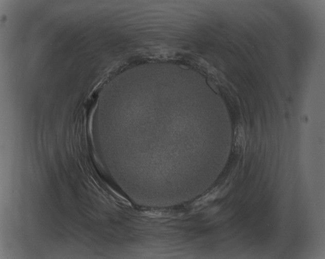 X0000086271202200704051300