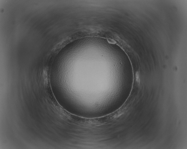 X0000086271203200704051300