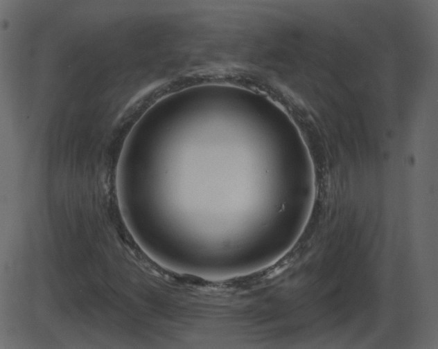 X0000086271206200704051300